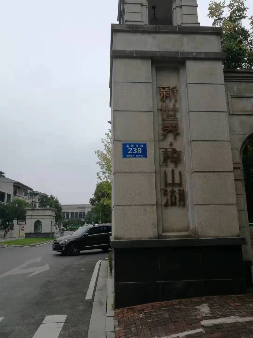 湖南省益阳市新世界·梓山湖别墅区NB-loT物联网水表改造项目